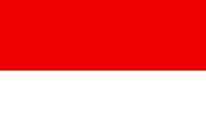 Bendera C1 - Visa Wisata